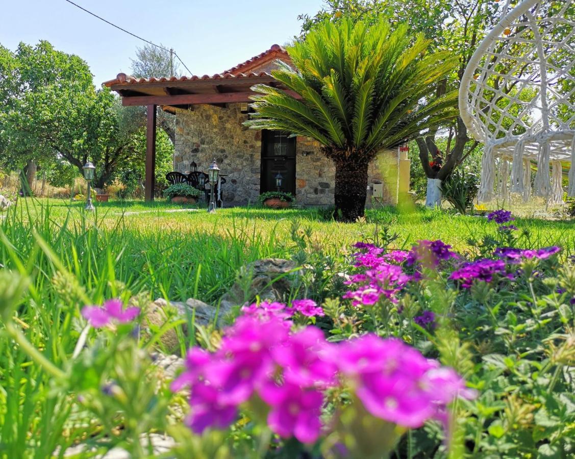 Vila Patras Stonehouse With Large Yard - Πέτρινο Σπίτι Με Αυλή Paralía Exteriér fotografie